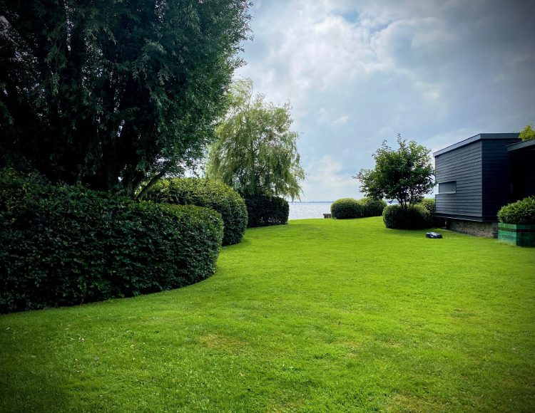 Tuin gemaakt door Herweijer Hoveniers op de Herenweg