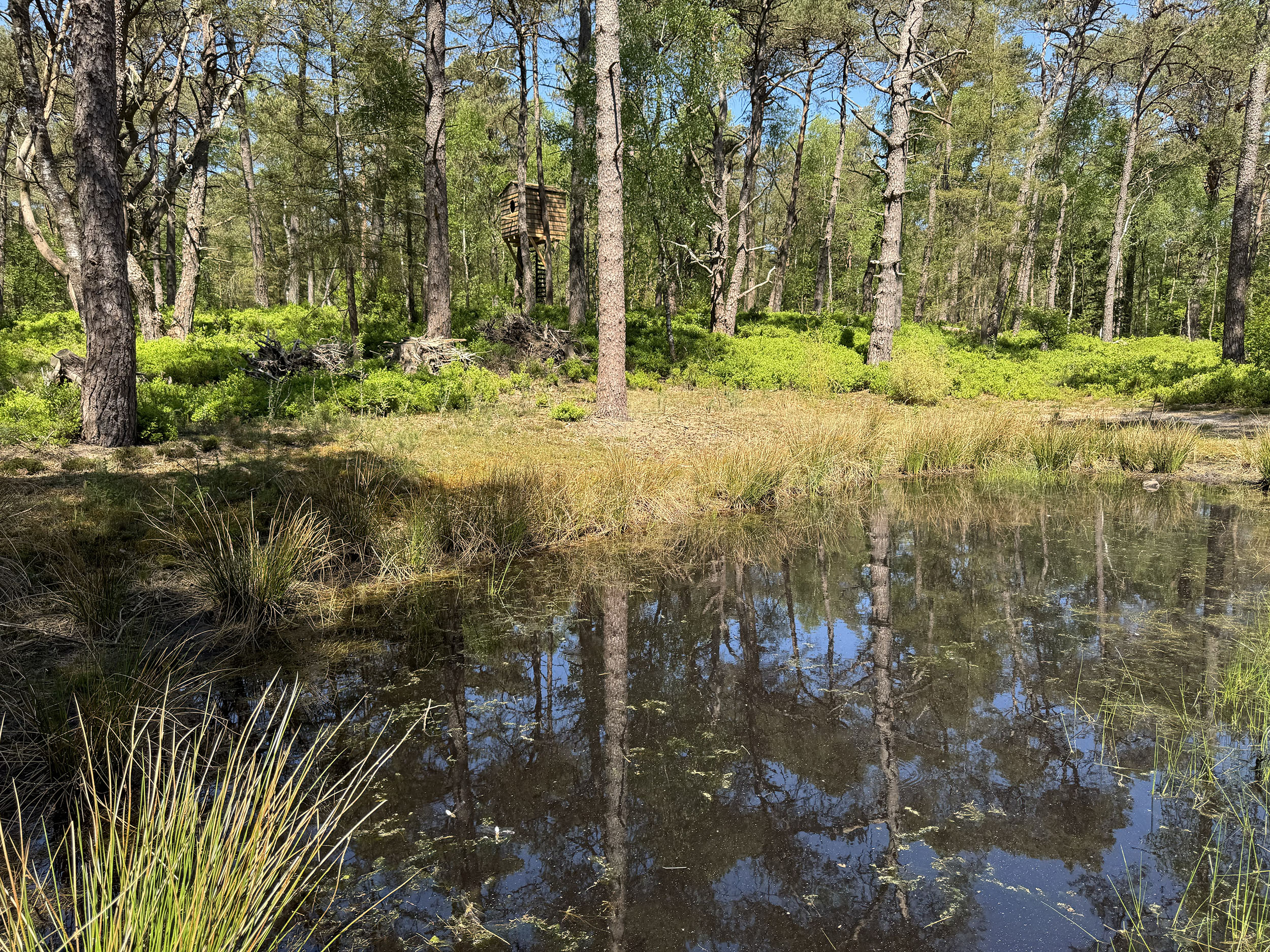 Herweijer hoveniers Landgoed Birdnest Veluwe