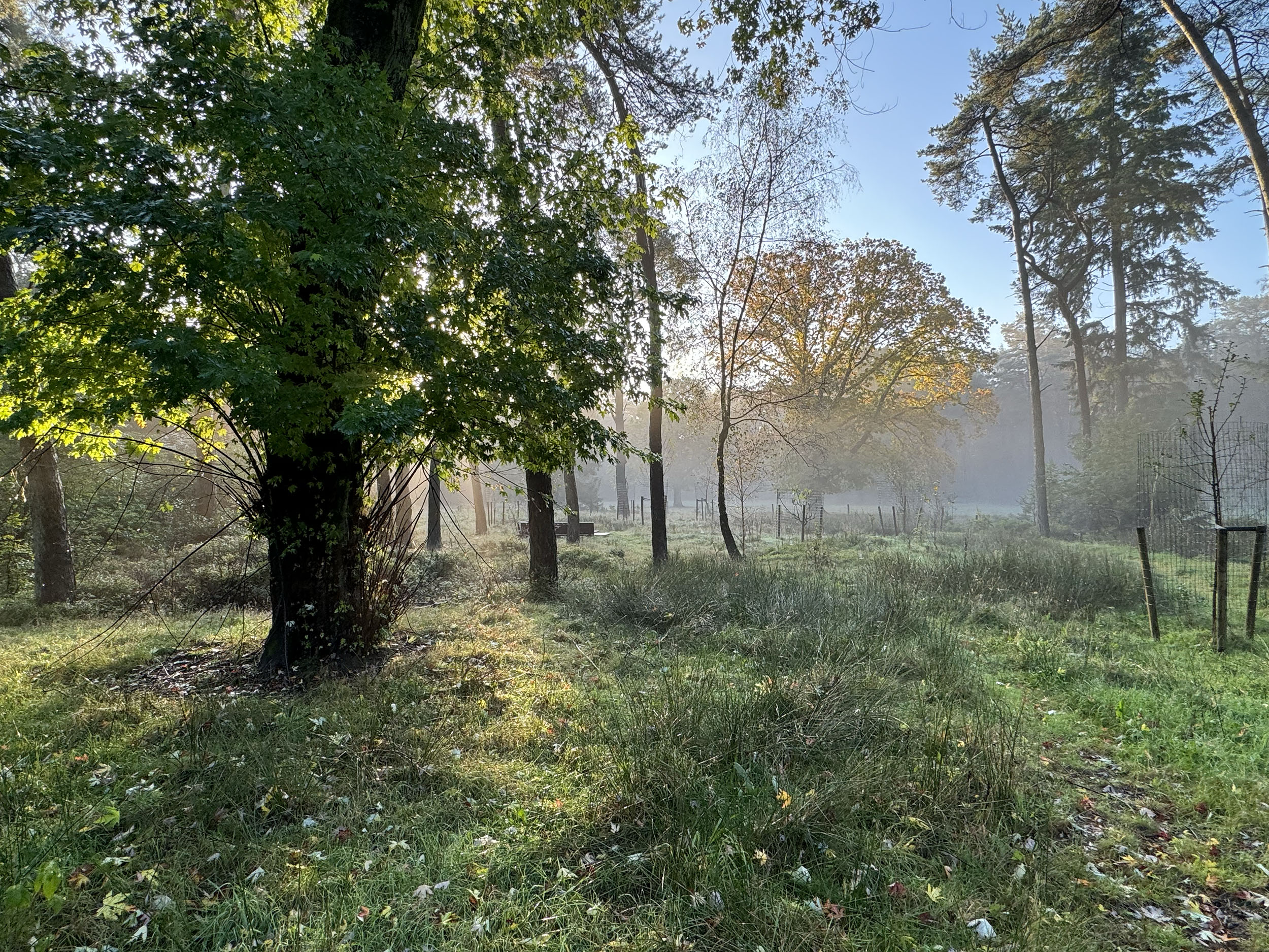 Herweijer hoveniers Landgoed Birdnest Veluwe
