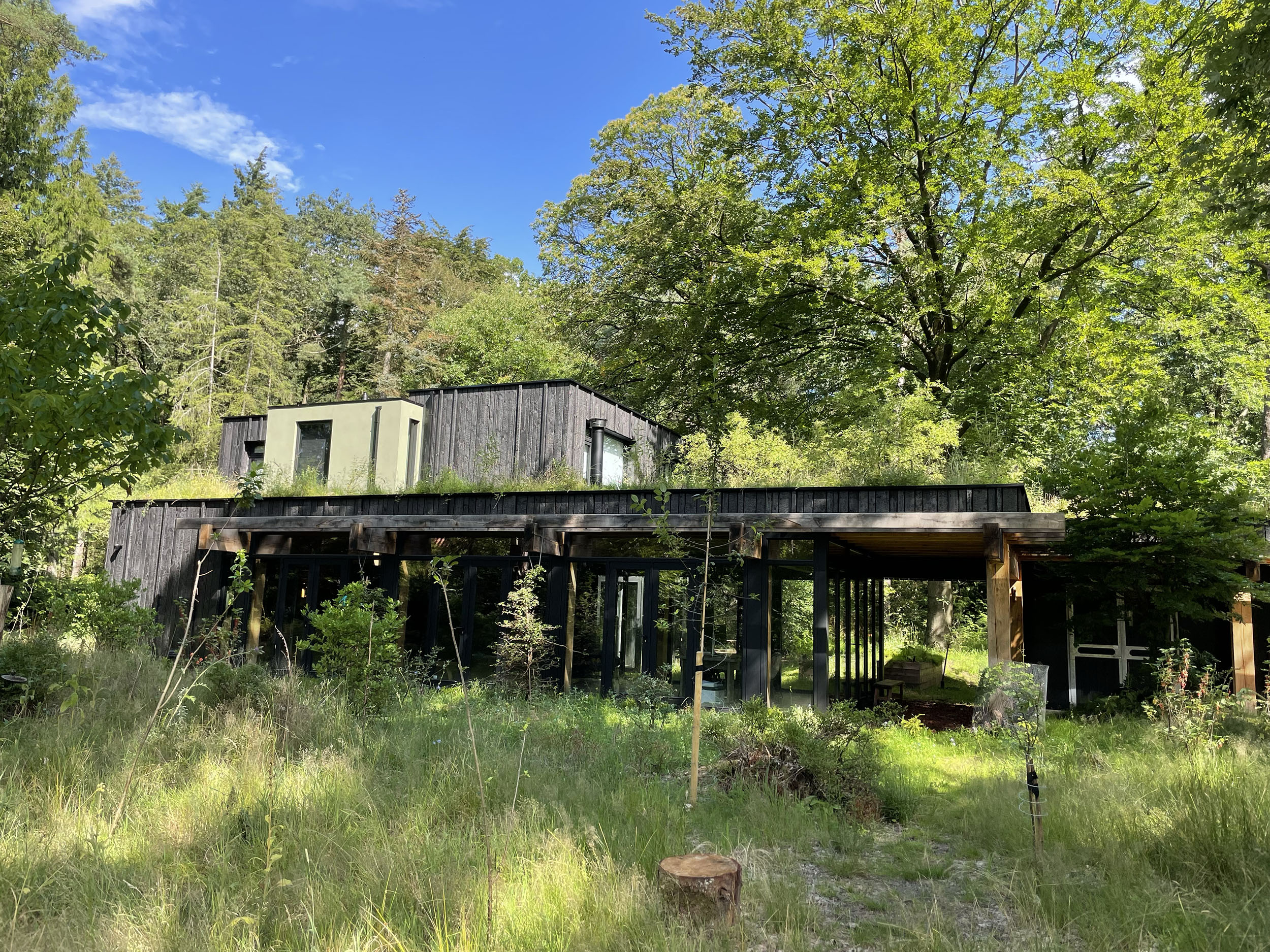 Herweijer hoveniers Landgoed Birdnest Veluwe