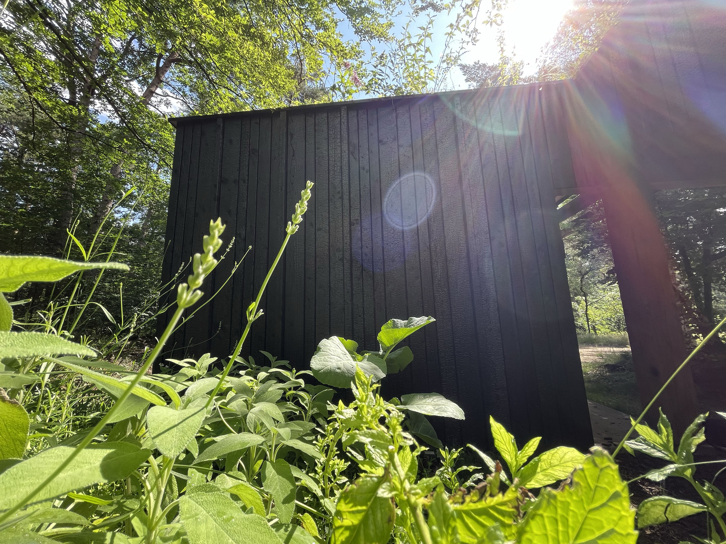 Herweijer hoveniers Landgoed Birdnest Veluwe