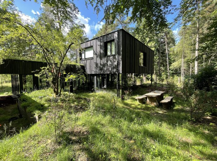 Herweijer hoveniers Landgoed Birdnest Veluwe