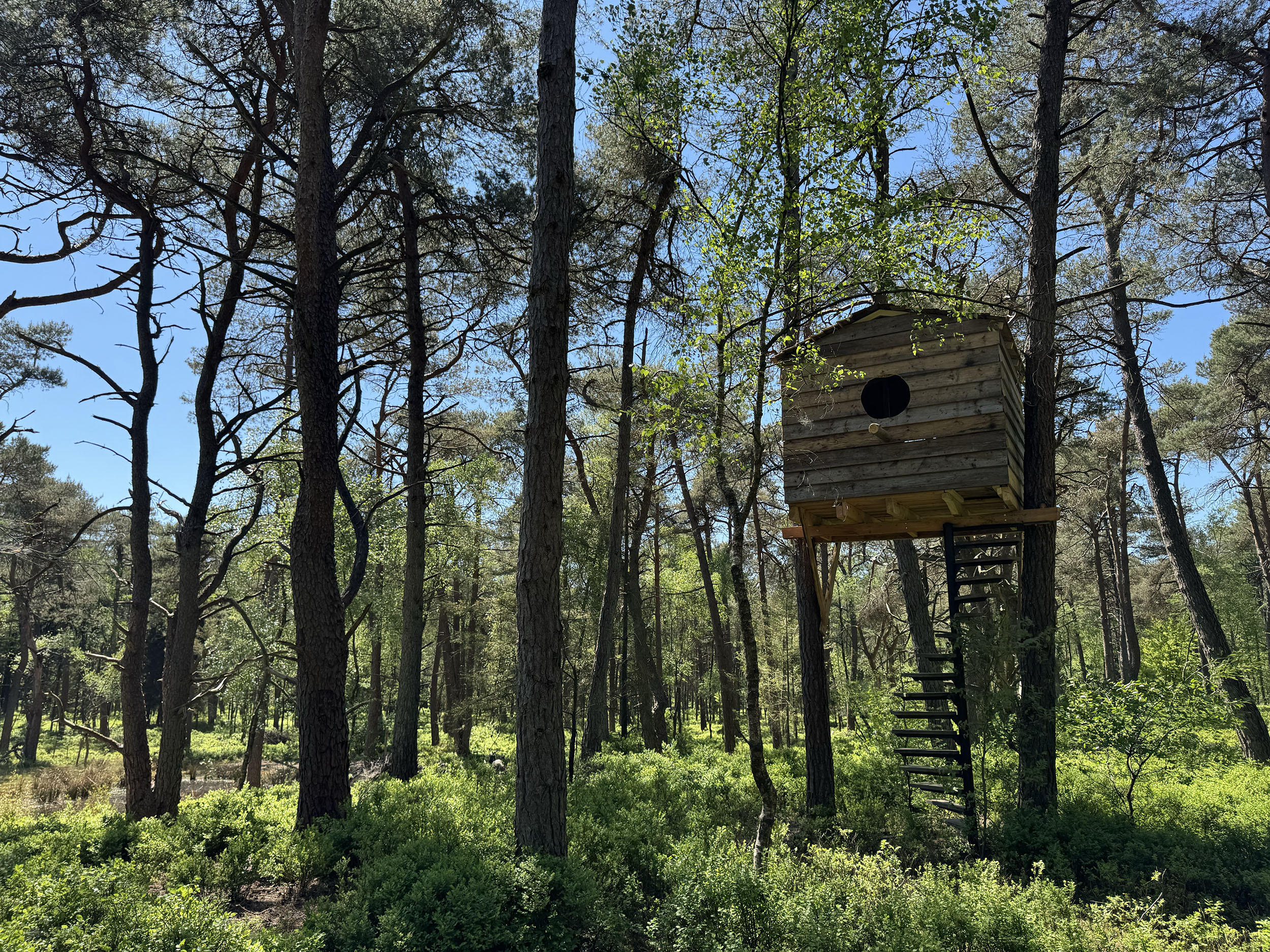 Herweijer hoveniers Landgoed Birdnest Veluwe